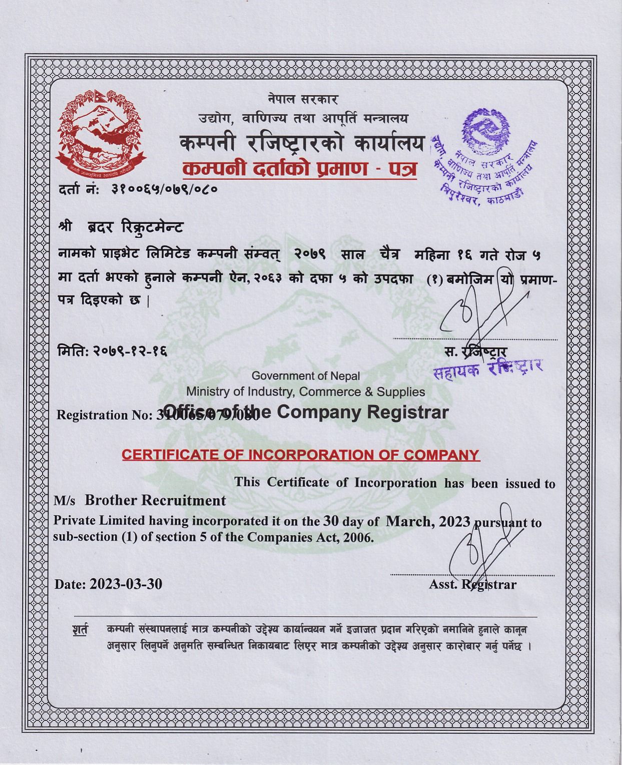 Company Registration